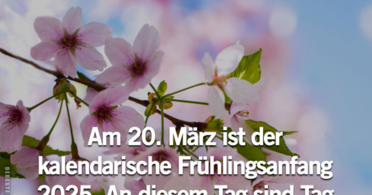 Frühlingsanfang Humor: Pollen, Weight, & Spring Fatigue Jokes